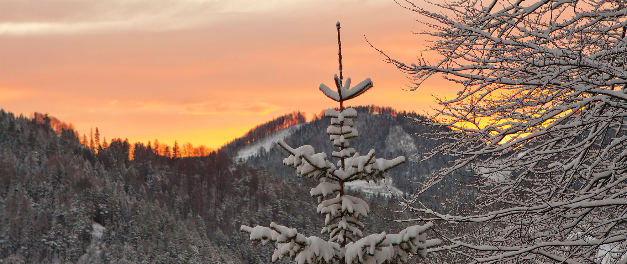 Sek einsatz winterbach